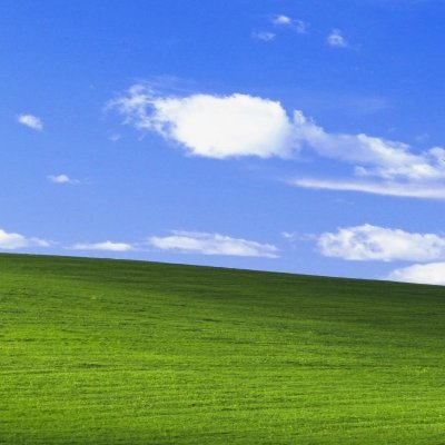 FedsWtf9116's profile picture. 