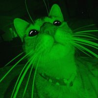 AB (@amalloob) 's Twitter Profile Photo