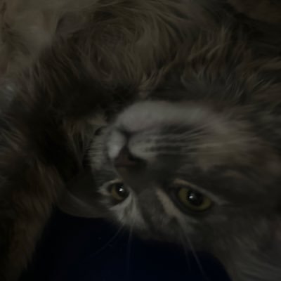isseyy18's profile picture. 