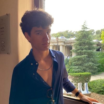 Afonso_Mendes_'s profile picture. Ronda sobre a Europa um espectro 🚩