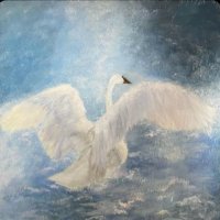 noella𝜗𝜚 (@getmeskinnynow) 's Twitter Profile