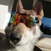 ScungyYote (@scungyyote) Twitter profile photo ScungyYote (@scungyyote) Twitter profile photo