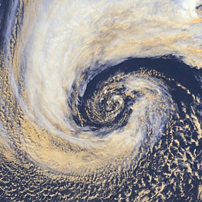 forresthentz's profile picture. just here to learn