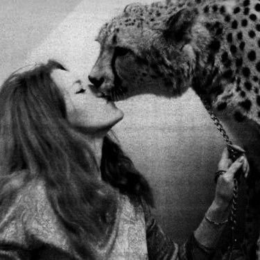 touteoubliee's profile picture. 