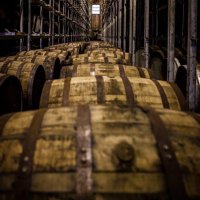 scotch.live (@scotchdotlive) 's Twitter Profile