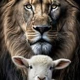 SERVANT OF YAHWEH🕎🙏🏿🦁 (@servantyahwe) 's Twitter Profile