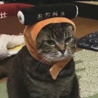 Jessasaurus22 (@mydadisdead6) 's Twitter Profile