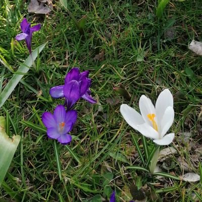 evelynrebref's profile picture. 