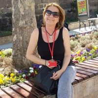Gül Polat (@glpolat38815594) 's Twitter Profile