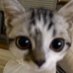 niniiii💗💓💞💕💝💘💖 (@niniiintendo) Twitter profile photo niniiii💗💓💞💕💝💘💖 (@niniiintendo) Twitter profile photo