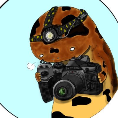 さんせううをさんのプロフィール画像