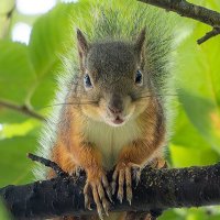 るる🐿🦋🌎🇯🇵 (@lairaruru) 's Twitter Profile Photo