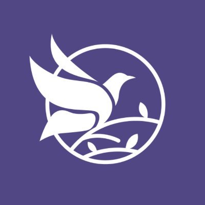 Somos una organización que defiende y promueve los Derechos Humanos de las personas en diversos contextos de movilidad en la región sur de México.