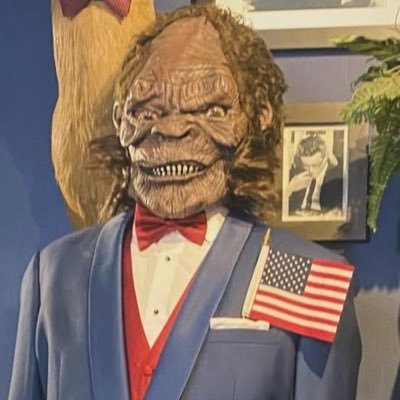 mainstformals's profile picture. 2018 & 2017 Best Men's Clothing Store, SouthCoast Media, 2013 Small Business of the Year, NB Chamber of Commerce