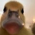 GvkTheGoober (@gvkthegoober) Twitter profile photo GvkTheGoober (@gvkthegoober) Twitter profile photo
