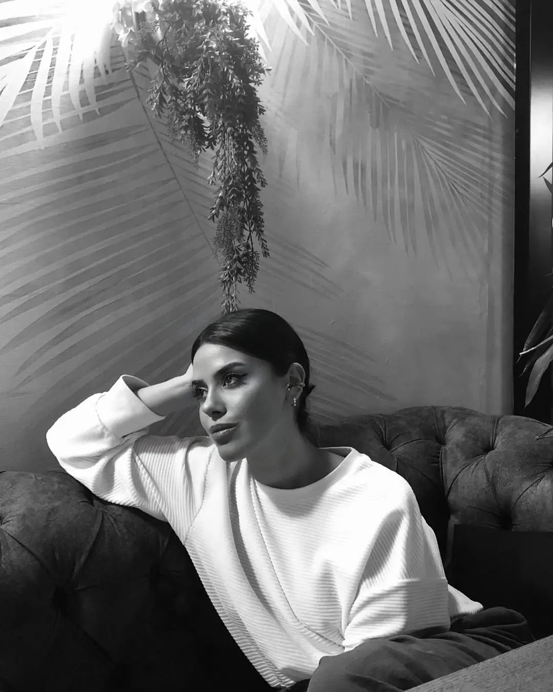 AlexandreS85046's profile picture. 