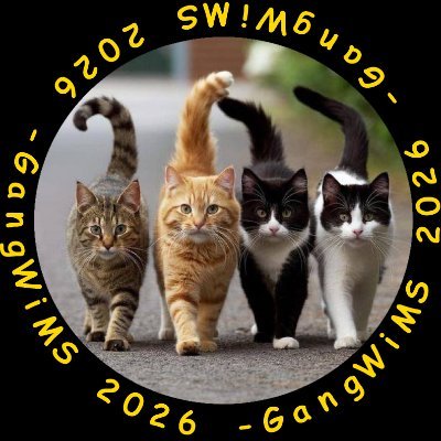 🗨 #GangWiMS 💭 @gangwims.bsky.social Profile