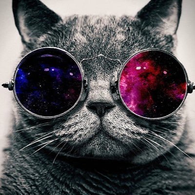 POOLSIDEC0NVO's profile picture. 