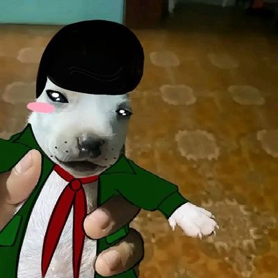 Michael_L0lz's profile picture. i hate it here-..-multi fandom

*-*