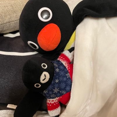 ペンギンが好きです🐧ピングーとSuicaペンギンが特に好きでよく一緒にお出かけしている/ペンギン好きさんと繋がりたい꙳★*゚/家ではゲームしがち/PENTAX K-70とペンギンぬいがお友達🤝