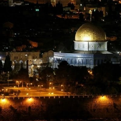 Palestinian Doctor here ✌🏽
for donations ⬇️
Binance ID : 36881334