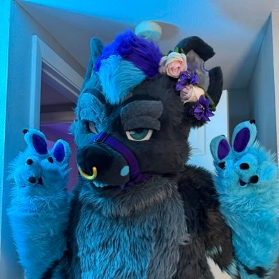 Definitely not stinky | Male | 34 | Florida | Professional Ear Nibbler | some NSFW content | @FireWolfStudios suiter | Mate for life @Kippathefox 🥰💙