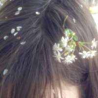 miu ❀ (@internetplushy) Twitter profile photo