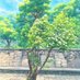 Nice (@nice2024518) Twitter profile photo Nice (@nice2024518) Twitter profile photo
