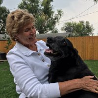 Kay vanwechel (@vanwechel64480) 's Twitter Profile