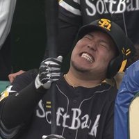 もぷお (@hotamy0n) 's Twitter Profile Photo もぷお (@hotamy0n) 's Twitter Profile Photo