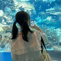 🥺 (@ayano_o80) 's Twitter Profile