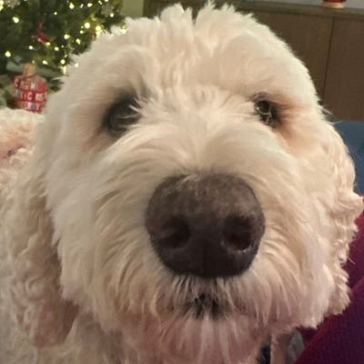 AidanAhearn7's profile picture. 