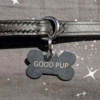 ✨pretty puppy✨ (@puppyboydiary) 's Twitter Profile