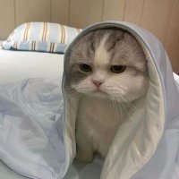 π§ββοΈ (@kaleauuroraa) 's Twitter Profile