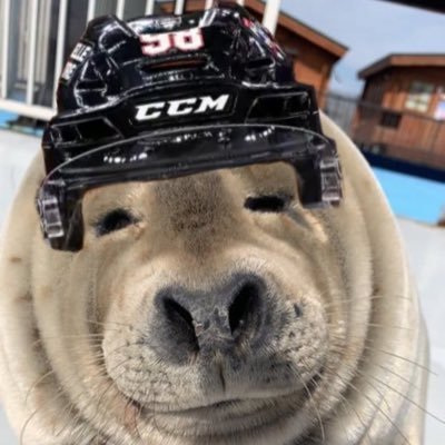 sealbedardtruth's profile picture. just whatever idec anymore blurghhhh priv is @omegapleaser 20 yrs old act accordingly plz