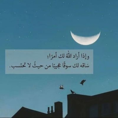 mohdgfar's profile picture. Eng.