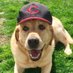 Mike C (@rmfmcoa) Twitter profile photo Mike C (@rmfmcoa) Twitter profile photo