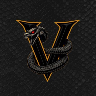@TheVortexGG_