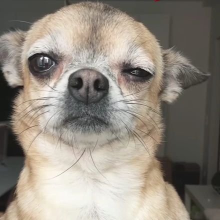 kirill_kirvel's profile picture. 