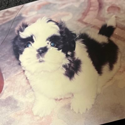 vrnMNtcNz5HBFQQ's profile picture. 