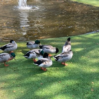 ramkanisuss's profile picture. ที่ชื่อโจเน่เพราะว่าชอบเจโน่