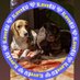 rejina.cleo.peyman (@rpeymansh16340) Twitter profile photo rejina.cleo.peyman (@rpeymansh16340) Twitter profile photo
