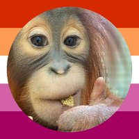 rowan🐻 (@kira_wan_) 's Twitter Profile Photo rowan🐻 (@kira_wan_) 's Twitter Profile Photo