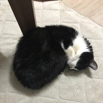LBOLE1342L66792's profile picture. 