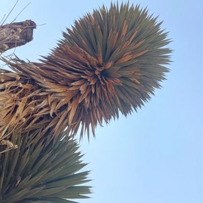 lez897's profile picture. 