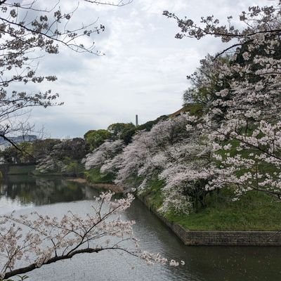 tomoooooooni's profile picture. 春から横国経営
06