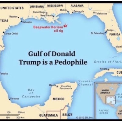 🌊 🌊 🌊 🌊 Navy Veteran. if you follow me, you agree that Trump is corrupt and a criminal. Follow on https://t.co/FKDTb14b00