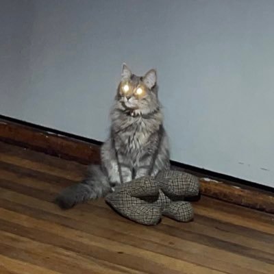 thatrgbj's profile picture. 