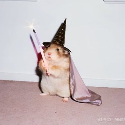 qkdzkdlqm's profile picture. 