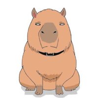 takumi🥞💫@景品要らないです (@takumi_aikata) Twitter profile photo